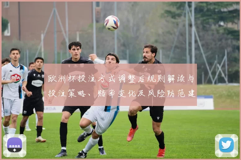 欧洲杯投注方式调整后规则解读与投注策略、赔率变化及风险防范建议
