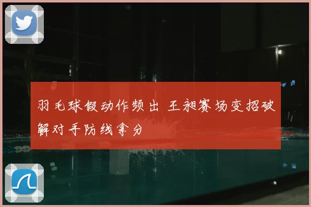 羽毛球假动作频出 王昶赛场变招破解对手防线拿分