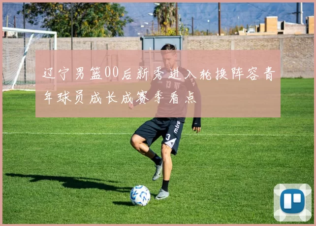 辽宁男篮00后新秀进入轮换阵容青年球员成长成赛季看点