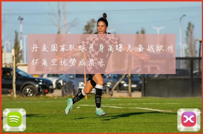 丹麦国家队球员身高曝光 备战欧洲杯高空优势成看点