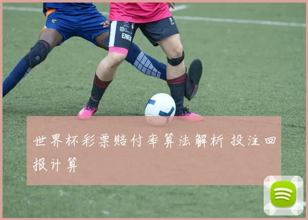 世界杯彩票赔付率算法解析 投注回报计算