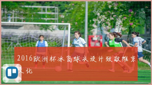 2016欧洲杯冰岛球衣设计致敬维京文化