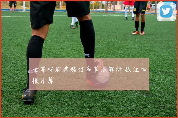 世界杯彩票赔付率算法解析 投注回报计算