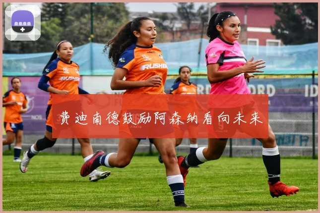 费迪南德鼓励阿森纳看向未来