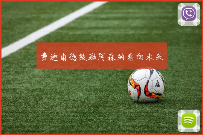 费迪南德鼓励阿森纳看向未来