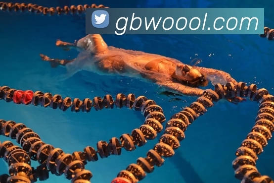 星空体育·星空官方网站 - 星空online(中国)APP 封面图